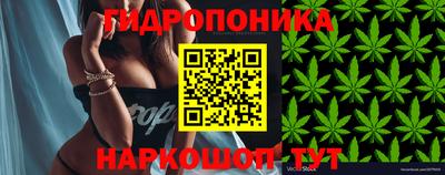 СК Можга