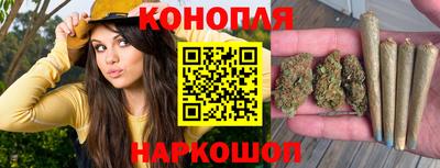 стаф Моздок