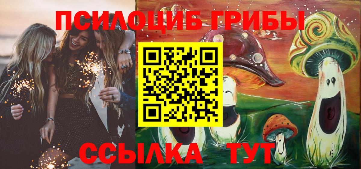 Галлюциногенные грибы мицелий  Вход с VPN  Тулун 